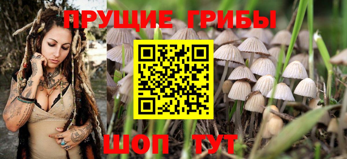Галлюциногенные грибы MAGIC MUSHROOMS  Галлюциногенные грибы Cubensis  Вход с VPN  Сочи 