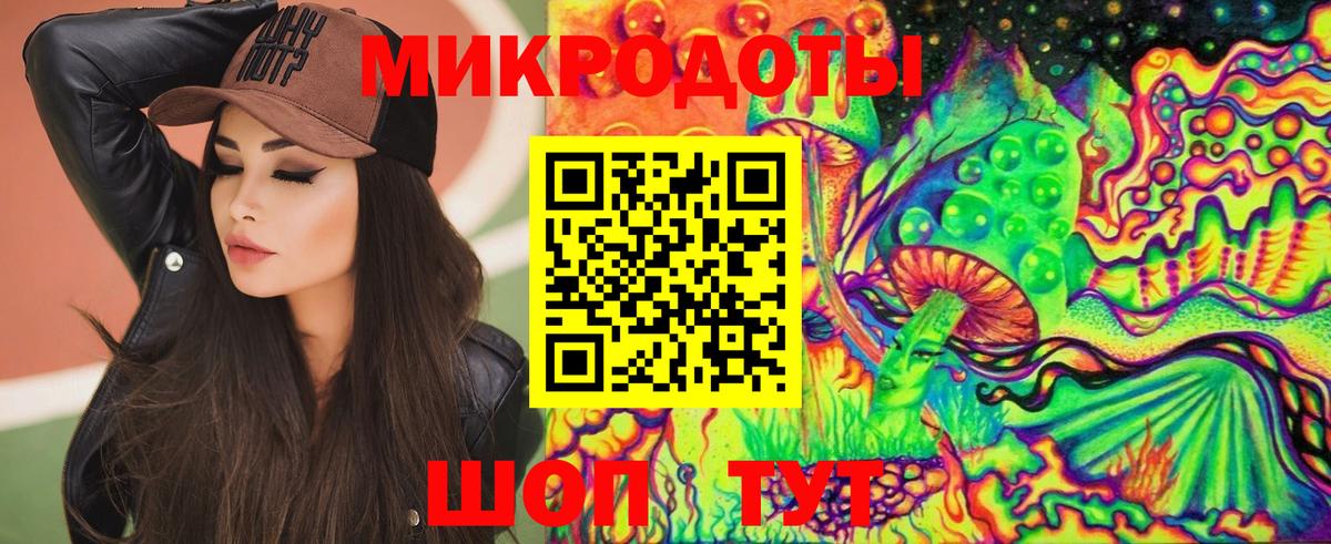 Псилоцибиновые грибы прущие грибы Сочи